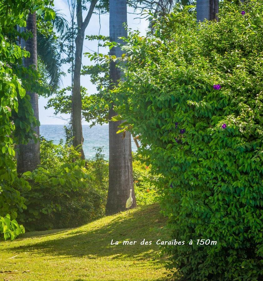 Villa Cezanne Sainte-Rose Bagian luar foto
